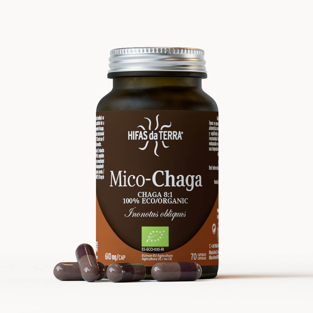 Mico chaga supplements by hifas da terra